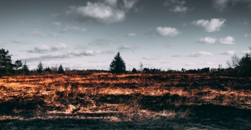 spalona ziemia spalona ziemia